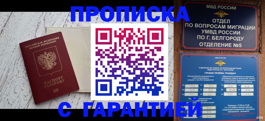временная регистрация надежно в Бийске